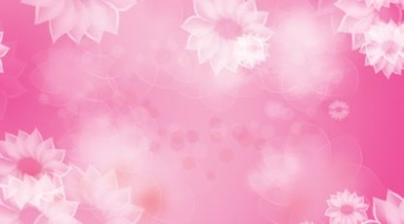 粉红色花开动画背景视频素材