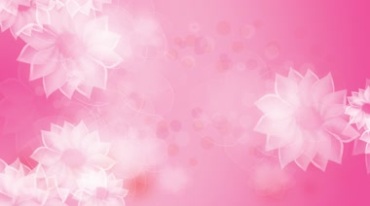 粉红色花开动画背景视频素材