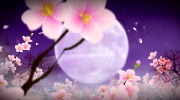 紫色大月亮月色梅花中秋佳节视频素材