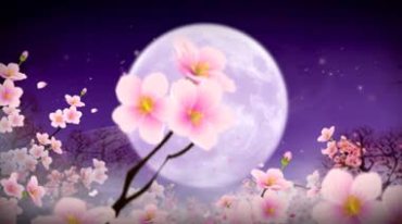 紫色大月亮月色梅花中秋佳节视频素材
