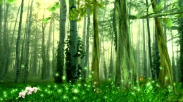 唯美绿色森林树林草地梦幻粒子视频素材