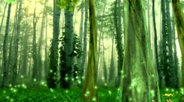 唯美绿色森林树林草地梦幻粒子视频素材