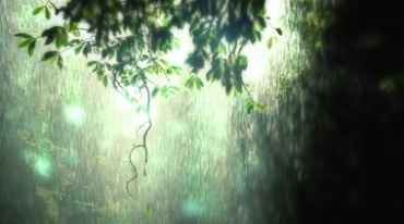 热带雨林洞穴山洞雨滴流水视频素材