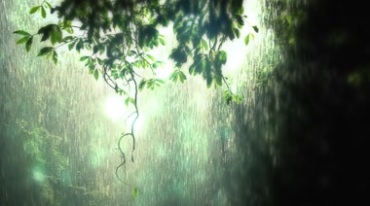 热带雨林洞穴山洞雨滴流水视频素材