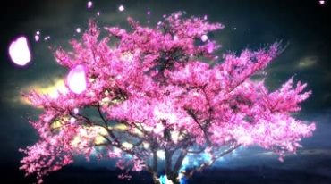 唯美夜色红花树流光花瓣视频素材