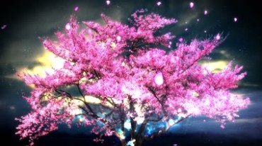 唯美夜色红花树流光花瓣视频素材