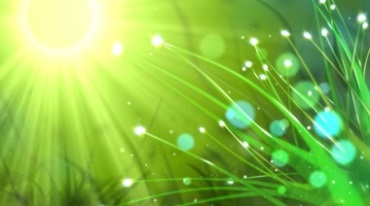 太阳光线光斑绿色植物春意视频素材