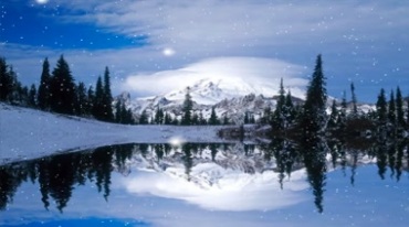 冬天北风呼啸树林雪地飘雪森林银装素裹雪景视频素材