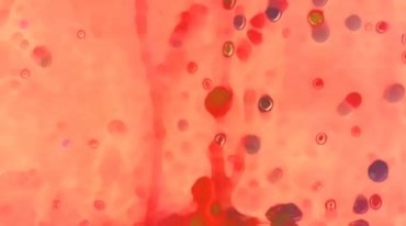 迷幻水彩水墨分子运动显微背景视频素材