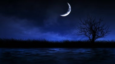 夜晚黑夜月亮河水草丛月黑风高视频素材