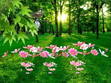 阳光透过树林鲜花绿色植物鸟语花香视频素材