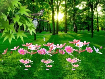 阳光透过树林鲜花绿色植物鸟语花香视频素材