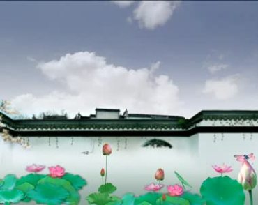 徽派建筑院墙围墙荷花荷叶荷花池花瓣中国风视频素材