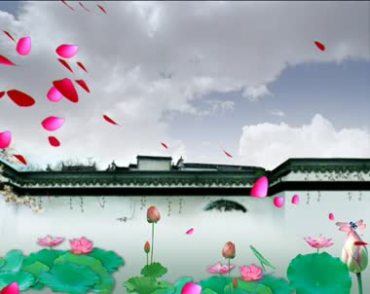 徽派建筑院墙围墙荷花荷叶荷花池花瓣中国风视频素材