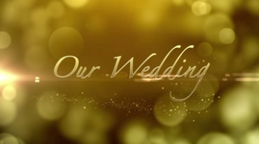 浪漫婚礼金色特效字我们结婚了视频素材