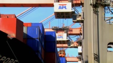港口码头货轮吊车吊装集装箱货物视频素材