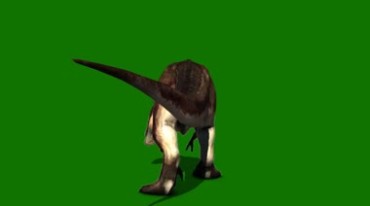 恐龙转弯掉头走路姿态绿屏抠像特效视频素材