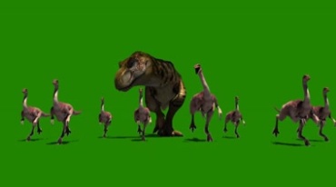 一群恐龙向我奔来绿幕抠像特效视频素材