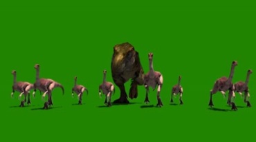 一群恐龙向我奔来绿幕抠像特效视频素材