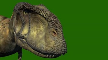 恐龙头部特写绿屏抠像特效视频素材