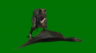 肉食恐龙进食吃尸体绿屏抠像特效视频素材