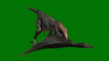 肉食恐龙进食吃尸体绿屏抠像特效视频素材