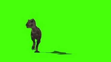 恐龙霸王龙互咬打架争斗绿屏抠像特效视频素材