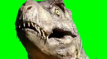 恐龙头部面部牙齿张嘴绿幕抠像特效视频素材