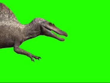 恐龙绿屏抠像背景视频素材