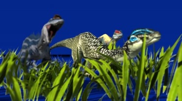 三只恐龙低吼抠像特效视频素材