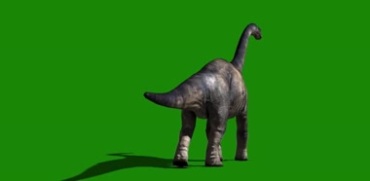 腕龙草食性恐龙脖子长的梁龙绿幕抠像特效视频素材