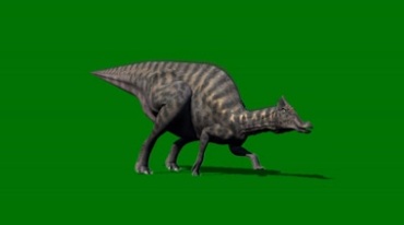 恐龙觅食吼叫绿屏抠像特效视频素材