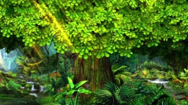 童话森林参天大树阳光光线视频素材