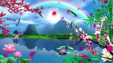 桂林山水彩虹太阳梅花竹子荷花美景视频素材