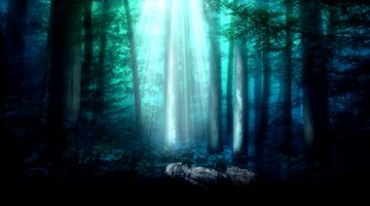 魔幻色彩森林光线阳光穿透茂密的树林深处视频素材