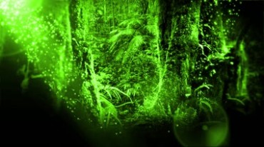 绿色森林光线阳光粒子视频素材