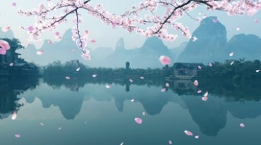 粉红花瓣飘落山水湖面远山美景视频素材