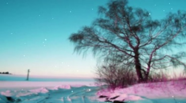 梦幻浪漫冰雪地枯树视频素材