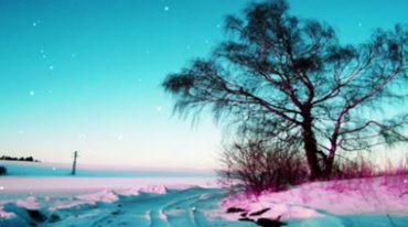 唯美雪地雪景老树视频素材