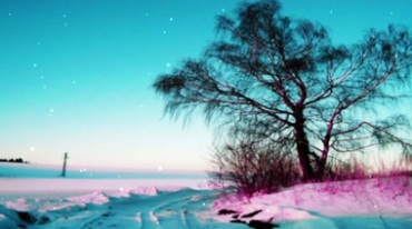 唯美雪地雪景老树视频素材