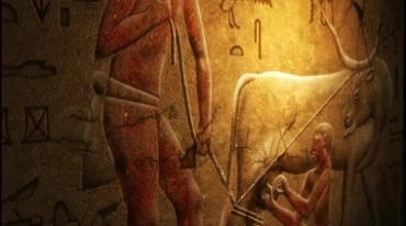 埃及古代壁画壁刻画壁视频素材