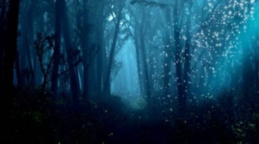 深山老林树林深处阳光照射光效粒子视频素材