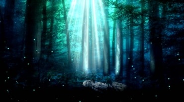 奇幻神秘森林几缕阳光照射粒子漂浮视频素材