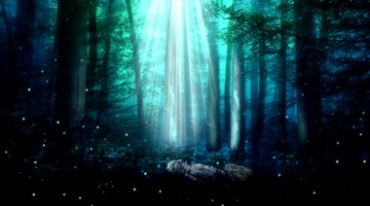 奇幻神秘森林几缕阳光照射粒子漂浮视频素材
