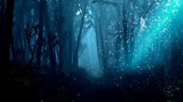 森林深处的阳光穿透密林散发神秘奇幻氛围视频素材