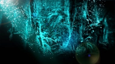 奇幻树林阳光照射粒子漂浮视频素材