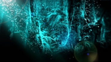 奇幻树林阳光照射粒子漂浮视频素材