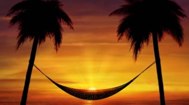 黄昏夕阳下椰子树吊床影子剪影视频素材