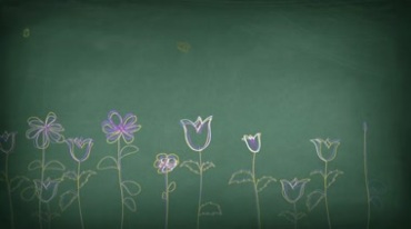 黑板彩色粉笔画花朵开花图案视频素材