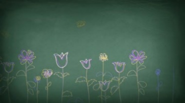 黑板彩色粉笔画花朵开花图案视频素材